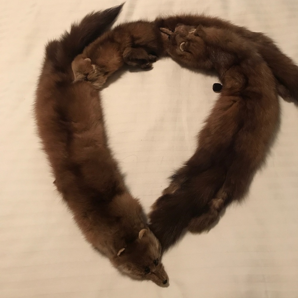 Vintage, Mink Stole, Collar Wrap, 1940s